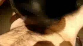 Du sexe avec des amateurs en video