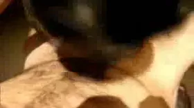 Du sexe avec des amateurs en video