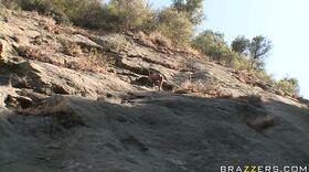 Brune bronzée fourrée sur les rochers 
